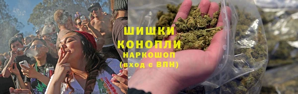 ПСИЛОЦИБИНОВЫЕ ГРИБЫ Алзамай