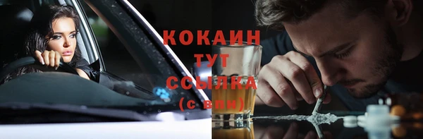 ПСИЛОЦИБИНОВЫЕ ГРИБЫ Алзамай