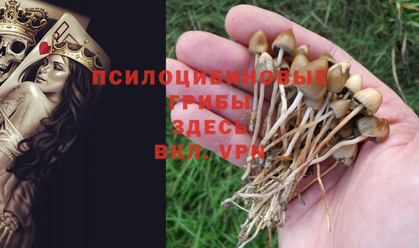 синтетический гашиш Алексин