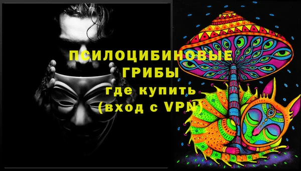 ПСИЛОЦИБИНОВЫЕ ГРИБЫ Алзамай