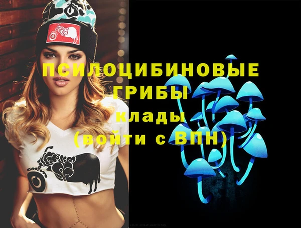 синтетический гашиш Алексин